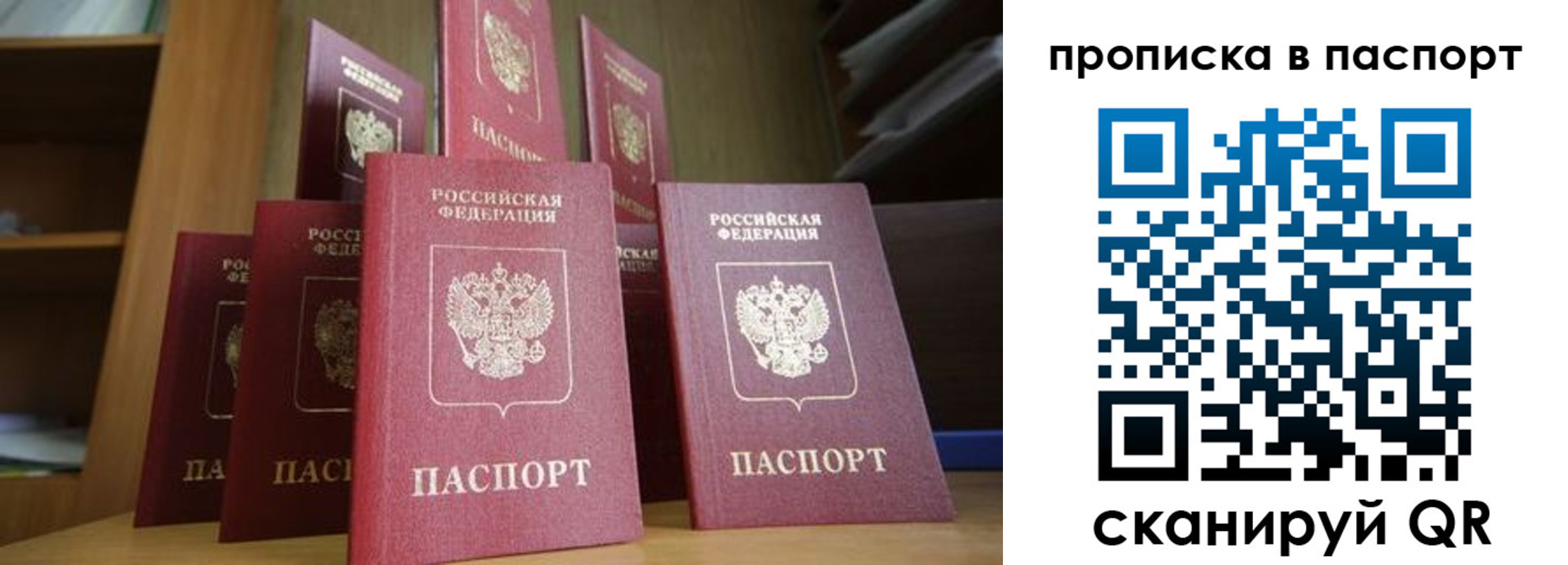 прописка законно в Елизово