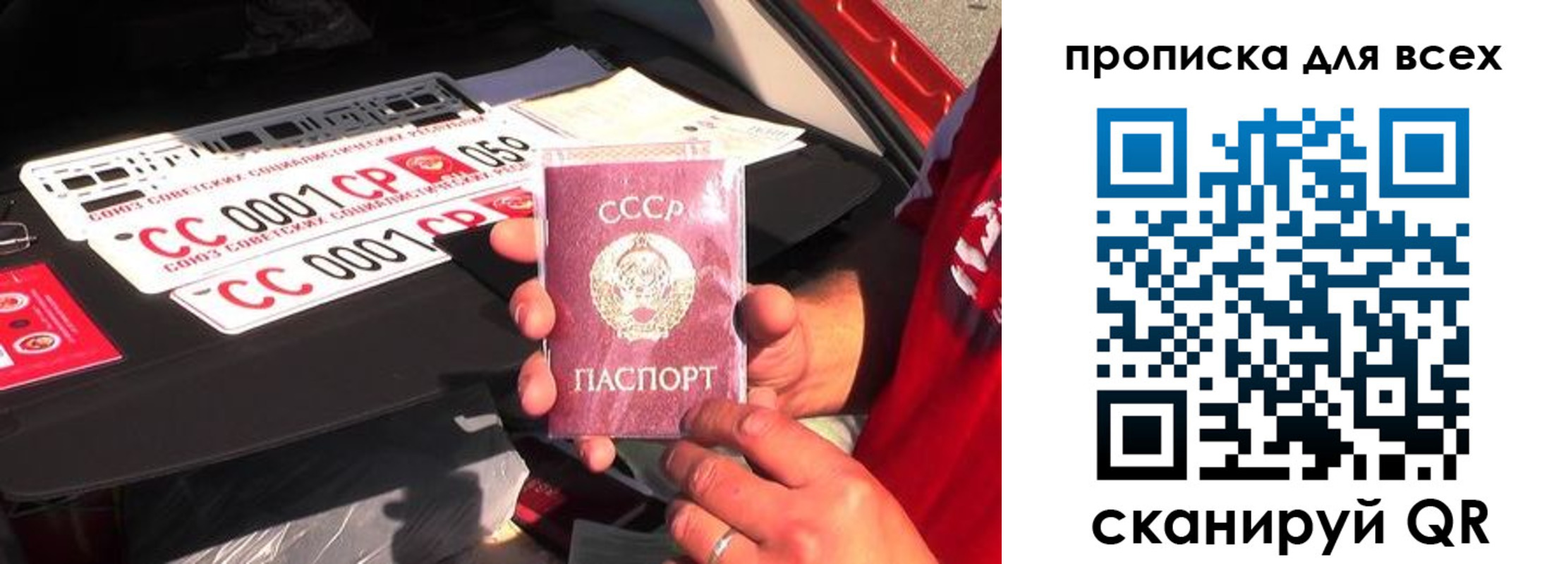 прописка для школы в Елизово